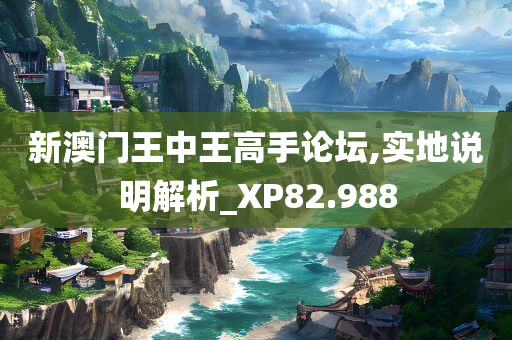 新澳门王中王高手论坛,实地说明解析_XP82.988