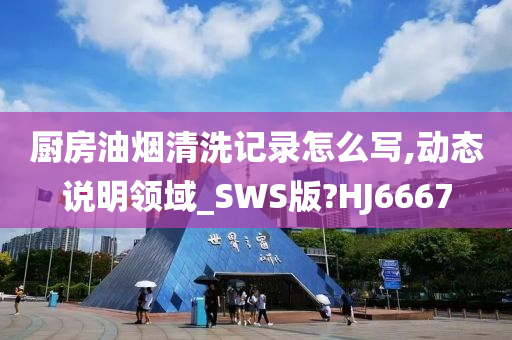 厨房油烟清洗记录怎么写,动态说明领域_SWS版?HJ6667