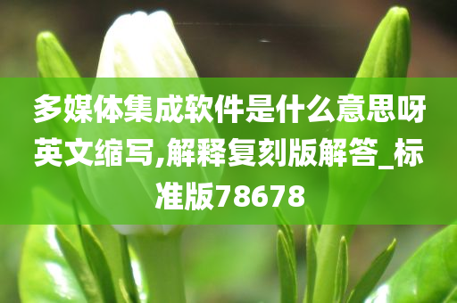 多媒体集成软件是什么意思呀英文缩写,解释复刻版解答_标准版78678