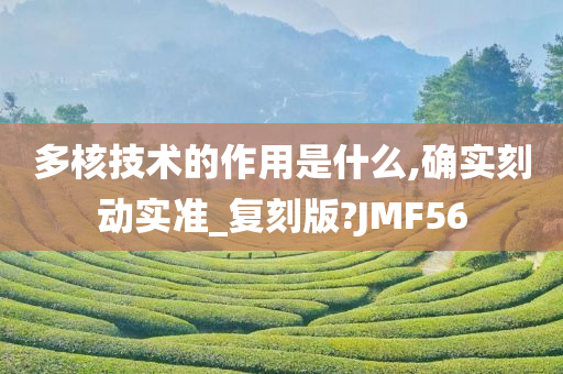 多核技术的作用是什么,确实刻动实准_复刻版?JMF56