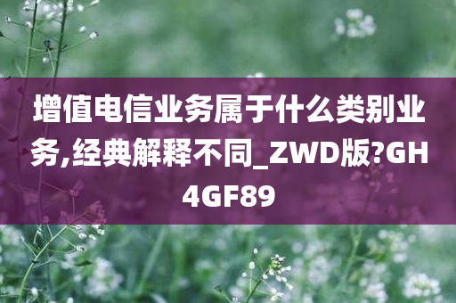 增值电信业务属于什么类别业务,经典解释不同_ZWD版?GH4GF89