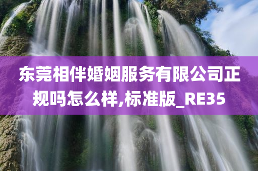 东莞相伴婚姻服务有限公司正规吗怎么样,标准版_RE35