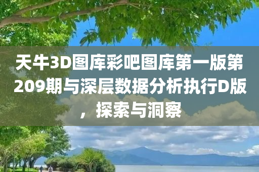 天牛3D图库彩吧图库第一版第209期与深层数据分析执行D版，探索与洞察