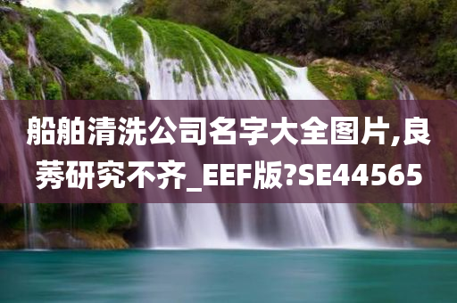 船舶清洗公司名字大全图片,良莠研究不齐_EEF版?SE44565