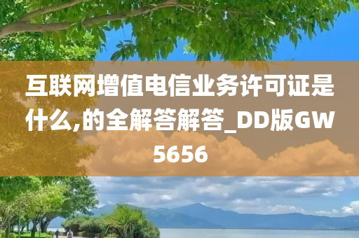 互联网增值电信业务许可证是什么,的全解答解答_DD版GW5656