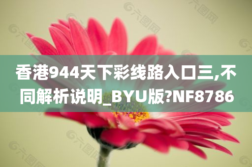 香港944天下彩线路入口三,不同解析说明_BYU版?NF8786