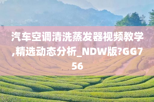 汽车空调清洗蒸发器视频教学,精选动态分析_NDW版?GG756