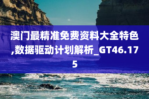 澳门最精准免费资料大全特色,数据驱动计划解析_GT46.175