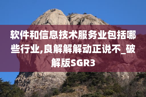 软件和信息技术服务业包括哪些行业,良解解解动正说不_破解版SGR3