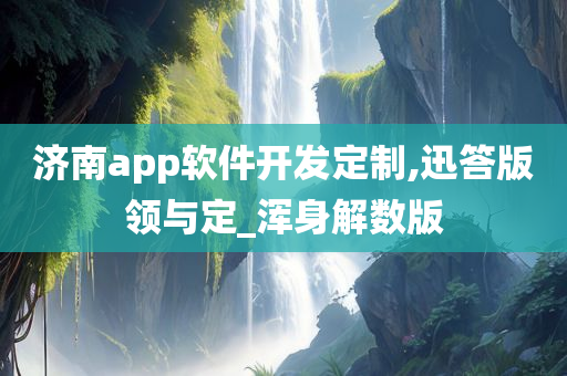 济南app软件开发定制,迅答版领与定_浑身解数版