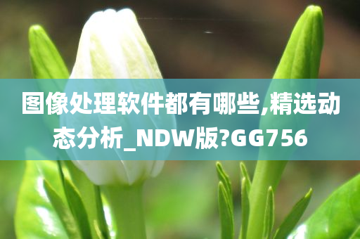 图像处理软件都有哪些,精选动态分析_NDW版?GG756