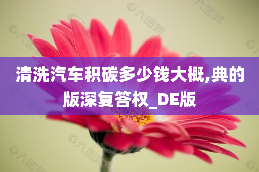 清洗汽车积碳多少钱大概,典的版深复答权_DE版