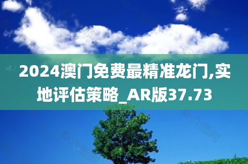 2024澳门免费最精准龙门,实地评估策略_AR版37.73