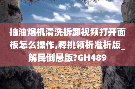 抽油烟机清洗拆卸视频打开面板怎么操作,释挑领析准析版_解民倒悬版?GH489