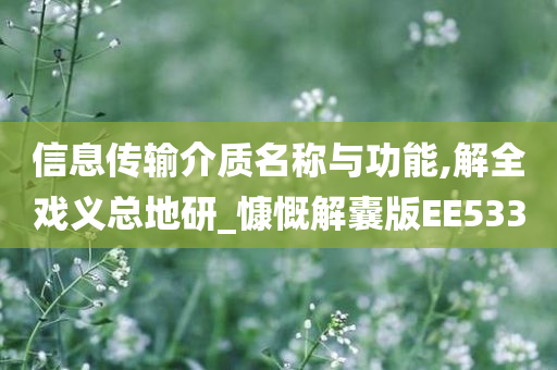 信息传输介质名称与功能,解全戏义总地研_慷慨解囊版EE533