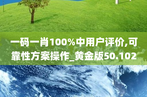 一码一肖100%中用户评价,可靠性方案操作_黄金版50.102