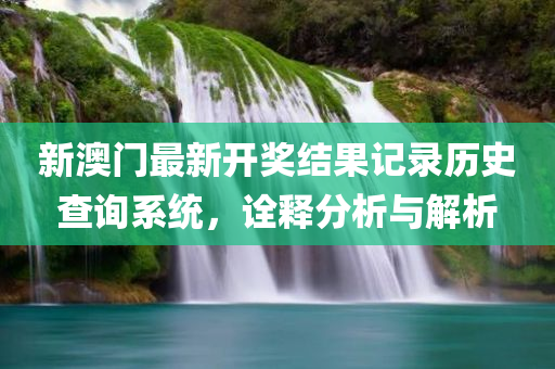 新澳门最新开奖结果记录历史查询系统，诠释分析与解析