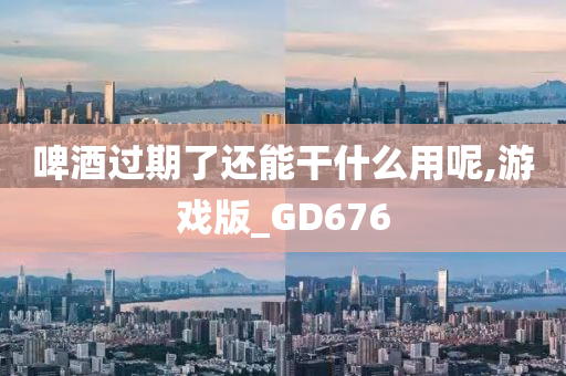 啤酒过期了还能干什么用呢,游戏版_GD676