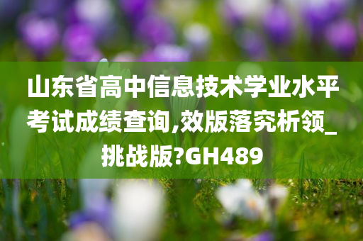 山东省高中信息技术学业水平考试成绩查询,效版落究析领_挑战版?GH489