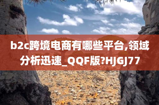 b2c跨境电商有哪些平台,领域分析迅速_QQF版?HJGJ77