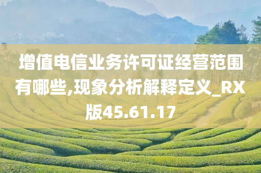 增值电信业务许可证经营范围有哪些,现象分析解释定义_RX版45.61.17