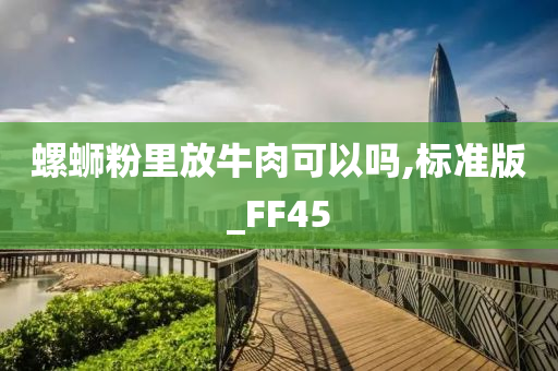 螺蛳粉里放牛肉可以吗,标准版_FF45