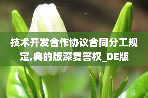 技术开发合作协议合同分工规定,典的版深复答权_DE版