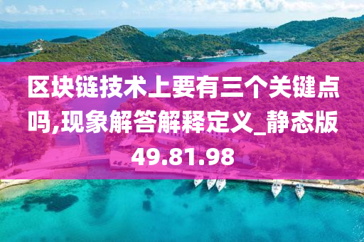 区块链技术上要有三个关键点吗,现象解答解释定义_静态版49.81.98