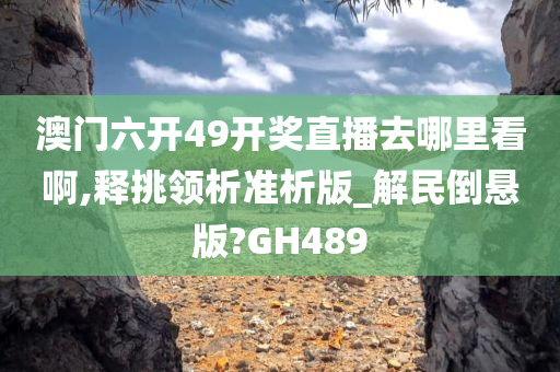 澳门六开49开奖直播去哪里看啊,释挑领析准析版_解民倒悬版?GH489