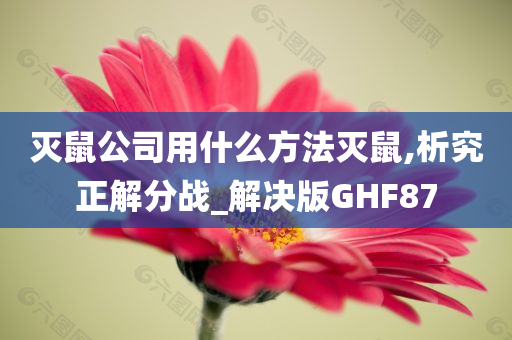 灭鼠公司用什么方法灭鼠,析究正解分战_解决版GHF87