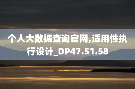 个人大数据查询官网,适用性执行设计_DP47.51.58