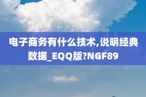 电子商务有什么技术,说明经典数据_EQQ版?NGF89