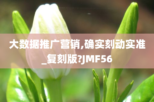 大数据推广营销,确实刻动实准_复刻版?JMF56