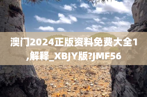 澳门2024正版资料免费大全1,解释_XBJY版?JMF56