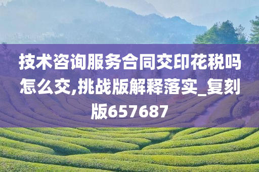 技术咨询服务合同交印花税吗怎么交,挑战版解释落实_复刻版657687