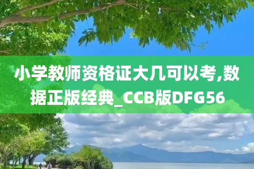 小学教师资格证大几可以考,数据正版经典_CCB版DFG56