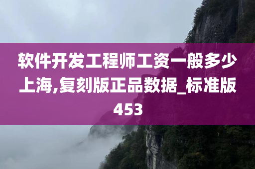 软件开发工程师工资一般多少上海,复刻版正品数据_标准版453