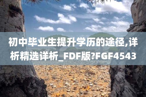 初中毕业生提升学历的途径,详析精选详析_FDF版?FGF4543