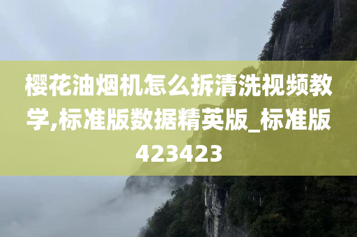 樱花油烟机怎么拆清洗视频教学,标准版数据精英版_标准版423423