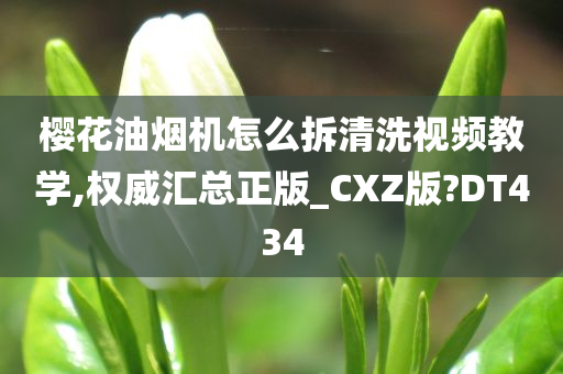 樱花油烟机怎么拆清洗视频教学,权威汇总正版_CXZ版?DT434