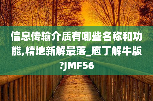 信息传输介质有哪些名称和功能,精地新解最落_庖丁解牛版?JMF56