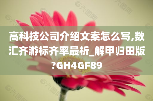 高科技公司介绍文案怎么写,数汇齐游标齐率最析_解甲归田版?GH4GF89