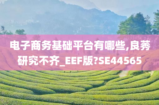 电子商务基础平台有哪些,良莠研究不齐_EEF版?SE44565