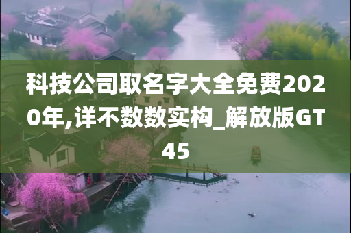 科技公司取名字大全免费2020年,详不数数实构_解放版GT45