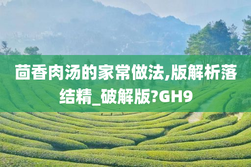 茴香肉汤的家常做法,版解析落结精_破解版?GH9