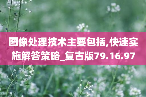 图像处理技术主要包括,快速实施解答策略_复古版79.16.97