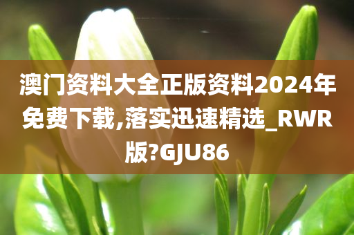 澳门资料大全正版资料2024年免费下载,落实迅速精选_RWR版?GJU86