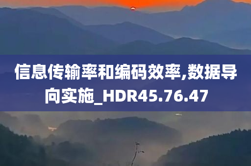 信息传输率和编码效率,数据导向实施_HDR45.76.47