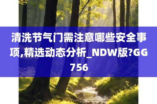 清洗节气门需注意哪些安全事项,精选动态分析_NDW版?GG756