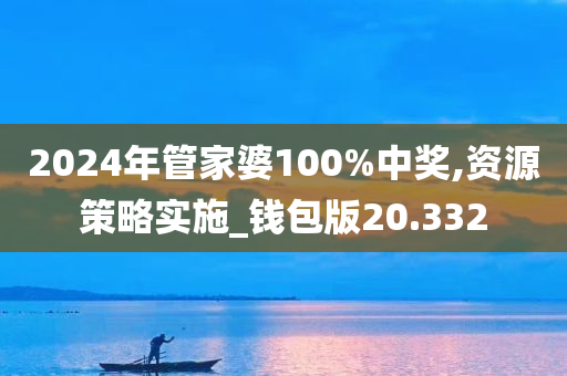 2024年管家婆100%中奖,资源策略实施_钱包版20.332